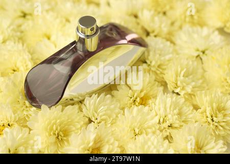 KHARKIV, UKRAINE - 2 JANVIER 2021 bouteille de parfum Euphoria de Calvin Klein, une maison de couture américaine haut de gamme fondée en 1968 qui commercialise ses produits de marque éponyme dans le monde entier Banque D'Images