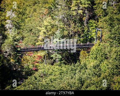 Gorge et pont de Tallulah, chutes de Tallulah, Géorgie, États-Unis Banque D'Images