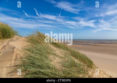Dunes et plage de Camber Sands par une journée ensoleillée Banque D'Images