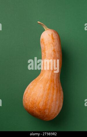Courge butternut douce mûre entière sur un fond vert, vue de dessus. Citrouille orange en forme de bouteille. Banque D'Images