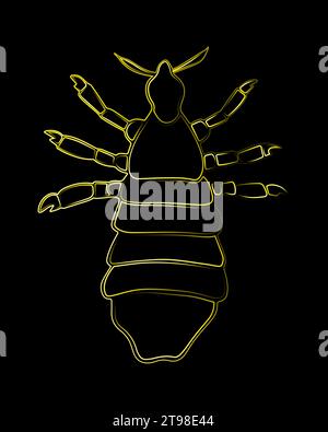 Illustration isolée vectorielle de Louse. Pou humain. Le problème de la pédiculose. Illustration de Vecteur