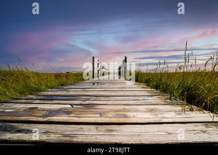 pont en bois dans les marais salants sur la mer du nord au coucher du soleil Banque D'Images