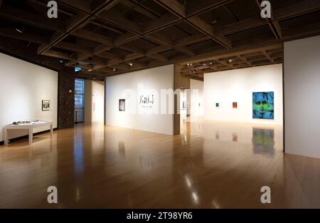 Kali, Artographe, exposition, Palm Springs, art, musée, Californie, États-Unis Banque D'Images