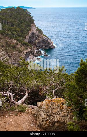 le bord de mer dans la partie ouest de la presquile de Giens appartient au parc national de port-cros avec ses criques ses ilots ses plages sa nature Banque D'Images