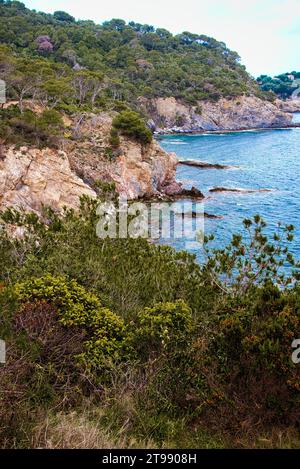 le bord de mer dans la partie ouest de la presquile de Giens appartient au parc national de port-cros avec ses criques ses ilots ses plages sa nature Banque D'Images