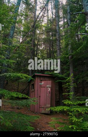 Petite cabane au milieu des arbres Banque D'Images