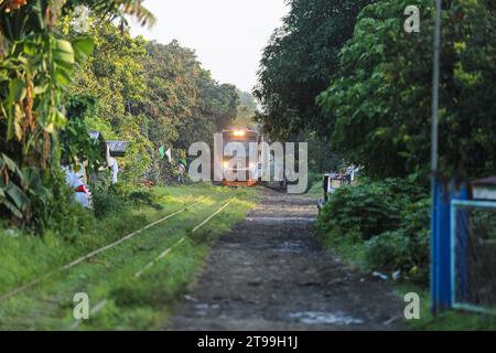 Manille, Philippines. 24 novembre 2023 : un train diesel à unités multiples de la classe PNR 8000 (fabriqué par la société indonésienne INKA - 750 passagers) exploité comme interprovincial Commuter par les chemins de fer nationaux philippins (PNR) qui célèbrent aujourd'hui son 131e anniversaire. Les Philippines mettent en œuvre une ambitieuse expansion ferroviaire qui implique l’arrêt des opérations pendant 5 ans dans la région de la capitale nationale (Metro Manila) à partir de janvier 2024, ce qui affectera environ 30 000 Philippins par jour, pour laisser place à la construction du projet North-South Commuter Railway (NSCR). Crédit : Kevin Izorce/Alamy Live News Banque D'Images