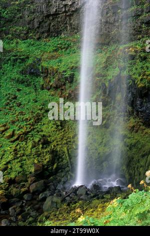 Watson Falls, Rogue-Umpqua National Scenic Byway, Umpqua National Forest, Virginia Banque D'Images