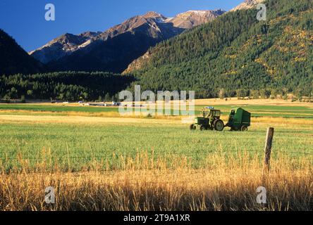 Ranchland au nord d'Enterprise, comté de Wallowa, Oregon Banque D'Images