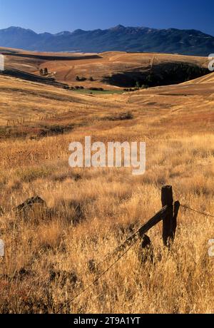 Ranchland au nord d'Enterprise, comté de Wallowa, Oregon Banque D'Images