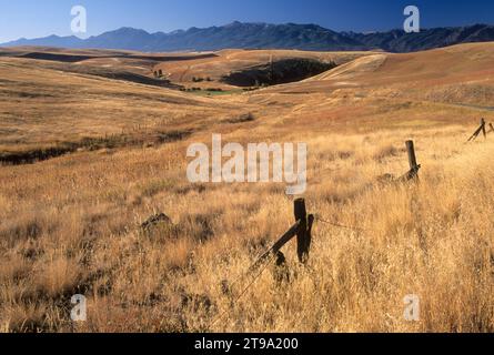 Ranchland au nord d'Enterprise, comté de Wallowa, Oregon Banque D'Images