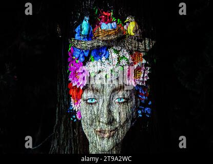 Mainau, Allemagne. 22 novembre 2023. Une image d'une femme est projetée sur l'écorce d'un arbre dans l'obscurité au jardin de Noël sur l'île de Mainau. Crédit : Silas Stein/dpa/Alamy Live News Banque D'Images