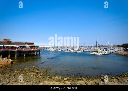 Bateaux à Monterey Marina près du Old Fisherman's Wharf - Californie, États-Unis Banque D'Images