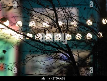 Lumières bokeh avec branches en premier plan Banque D'Images