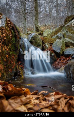 Belle petite cascade dans les montagnes espagnoles Montseny. Image longue exposition. Banque D'Images