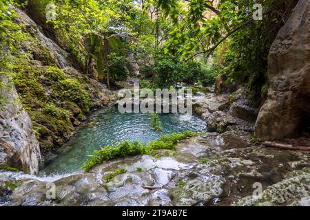 Explorez la beauté diversifiée de Tolantongo, Hidalgo. Des zones riveraines aux forêts tropicales denses, découvrez la captivante écorégion où l'eau et la nature Banque D'Images