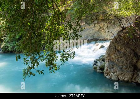 Explorez divers écosystèmes - du ruisseau au lac serein. Une végétation riche et une beauté captivante définissent ce paysage naturel et ce resour d'eau Banque D'Images