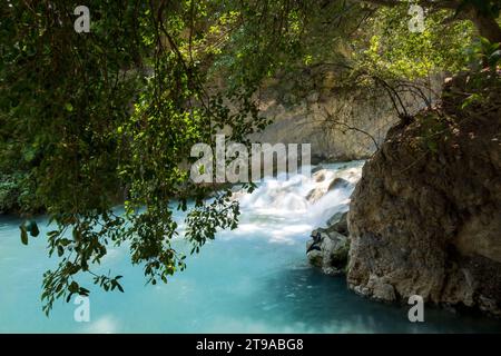 Explorez divers écosystèmes - du ruisseau au lac serein. Une végétation riche et une beauté captivante définissent ce paysage naturel et ce resour d'eau Banque D'Images