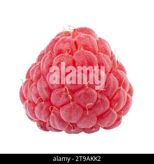 Un fruit framboise frais isolé dans le fond blanc. Baies isolées. Nourriture saine. Le fichier contient un chemin de détourage. Profondeur de champ totale. Banque D'Images