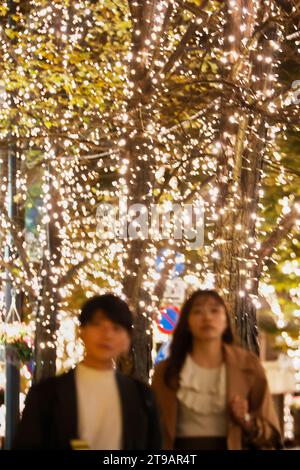 Tokyo, Japon. 24 novembre 2023. Des lumières LED illuminent le quartier des affaires de Marunouchi à Tokyo. Cette année, 1,2 millions de lumières de couleur champagne sont utilisées pour éclairer la rue Nakadori de Marunouchi, l'un des spots d'éclairage les plus populaires de Tokyo pendant la saison de Noël. L'illumination a lieu jusqu'à la mi-février. (Image de crédit : © Rodrigo Reyes Marin/ZUMA Press Wire) USAGE ÉDITORIAL SEULEMENT! Non destiné à UN USAGE commercial ! Banque D'Images