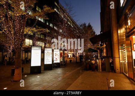 Tokyo, Japon. 24 novembre 2023. Des lumières LED illuminent le quartier des affaires de Marunouchi à Tokyo. Cette année, 1,2 millions de lumières de couleur champagne sont utilisées pour éclairer la rue Nakadori de Marunouchi, l'un des spots d'éclairage les plus populaires de Tokyo pendant la saison de Noël. L'illumination a lieu jusqu'à la mi-février. (Image de crédit : © Rodrigo Reyes Marin/ZUMA Press Wire) USAGE ÉDITORIAL SEULEMENT! Non destiné à UN USAGE commercial ! Banque D'Images