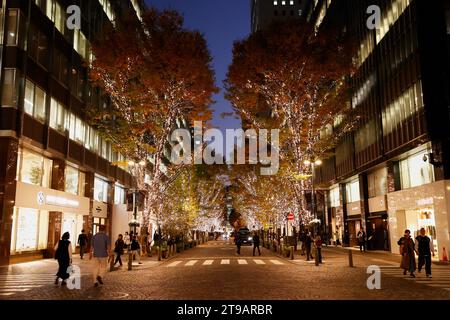 Tokyo, Japon. 24 novembre 2023. Des lumières LED illuminent le quartier des affaires de Marunouchi à Tokyo. Cette année, 1,2 millions de lumières de couleur champagne sont utilisées pour éclairer la rue Nakadori de Marunouchi, l'un des spots d'éclairage les plus populaires de Tokyo pendant la saison de Noël. L'illumination a lieu jusqu'à la mi-février. (Image de crédit : © Rodrigo Reyes Marin/ZUMA Press Wire) USAGE ÉDITORIAL SEULEMENT! Non destiné à UN USAGE commercial ! Banque D'Images