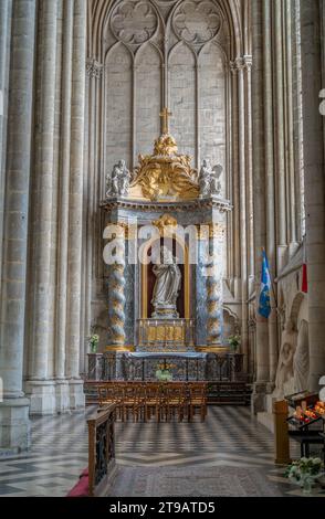 Paysage à l'intérieur de la cathédrale d'Amiens à Amiens, une ville et commune dans le nord de la France. Elle est la capitale du département de la somme dans la région des hauts Banque D'Images