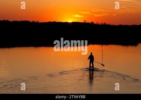 Silhouette d'un homme debout paddleboard dans la lumière du coucher du soleil avec des arbres se reflétant dans l'eau. Banque D'Images