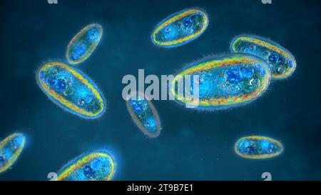 Gros plan de protozoaires parasites d'eucaryotes unicellulaires circulant dans le liquide - 3e ilustration Banque D'Images