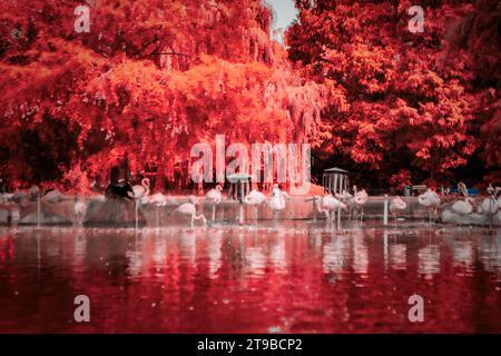 Mannheim, Allemagne - paysage dans le Luisenpark : exposition fédérale d'horticulture et de jardin, couvrant les thèmes de plantation et d'aménagement paysager (Bundesgartenschau Banque D'Images