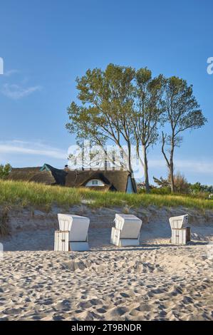 Plage d'Ahrenshoop, Fischland-Darss-Zingst, Mer baltique, Mecklenburg Occidentale-Poméranie, Allemagne Banque D'Images