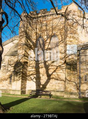 Arbre projetant une ombre sur la façade sud de la cathédrale de Durham, Angleterre, Royaume-Uni Banque D'Images