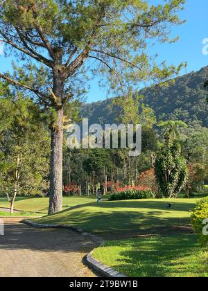 Magnifique paysage vert de Handara à la journée ensoleillée, Bedugul, île de Bali, Indonésie. Banque D'Images