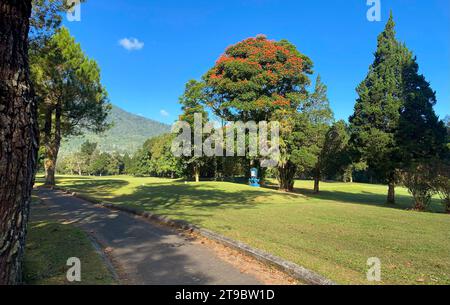 Magnifique paysage vert de Handara à la journée ensoleillée, Bedugul, île de Bali, Indonésie. Banque D'Images