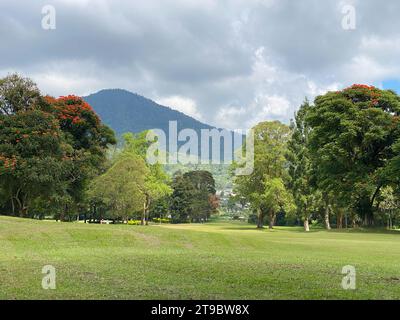 Magnifique paysage vert de Handara à la journée ensoleillée, Bedugul, île de Bali, Indonésie. Banque D'Images