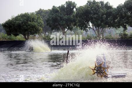 Aérateur à roue à aubes éclaboussant l'eau dans l'élevage intensif de crevettes. Banque D'Images