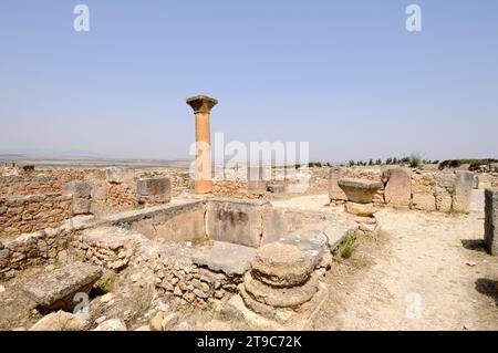 Volubilis, Berber et ville romaine (du 3th siècle av. J.-C. au 11th siècle av. J.-C.), site du patrimoine mondial. Meknes, Maroc. Banque D'Images