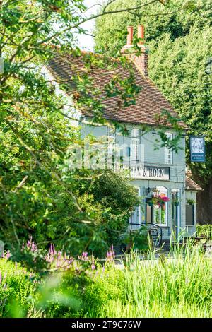 Village rural maison publique, bar, en partie caché par des masses de végétation verte, des arbres, des roseaux d'eau. Bâtiment en briques peintes en vert avec paniers de fleurs. Banque D'Images