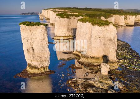 Old Harry Rocks sur le site du patrimoine mondial de la côte jurassique, Studland, Dorset, Angleterre. Été (juin) 2021. Banque D'Images