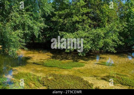 La rivière una traverse le centre de Bihac dans le canton d'una-Sana, Fédération de Bosnie-Herzégovine Banque D'Images