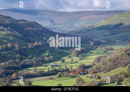 Regarder Swaledale vers Gunnerside depuis le haut de Low Row sur High Lane. Parc national des Yorkshire Dales, Royaume-Uni. Banque D'Images