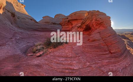 La crête rocheuse ouest de la New Wave le long de la Beehive Trail dans le Glen Canyon Recreation Area près de page Arizona. Banque D'Images