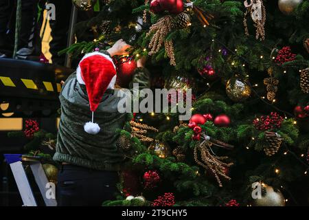 Londres, Royaume-Uni. 24 novembre 2023. Un sapin de Noël en sapin Nordmann de Dartmoor Christmas Trees est décoré par le personnel de The Tree Barn et Woods Barn et illuminé brièvement, apportant un sentiment festif à l'extérieur de la résidence du Premier ministre au N°10 et siège du gouvernement britannique. Crédit : Imageplotter/Alamy Live News Banque D'Images