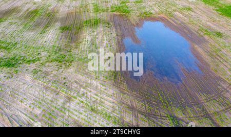 Déluge Disaster : vue aérienne des champs agricoles sous-marins Banque D'Images