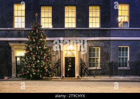 Londres, Royaume-Uni. 24 novembre 2023. Un sapin de Noël en sapin Nordmann de Dartmoor Christmas Trees est décoré par le personnel de The Tree Barn et Woods Barn et illuminé brièvement, apportant un sentiment festif à l'extérieur de la résidence du Premier ministre au N°10 et siège du gouvernement britannique. Crédit : Imageplotter/Alamy Live News Banque D'Images