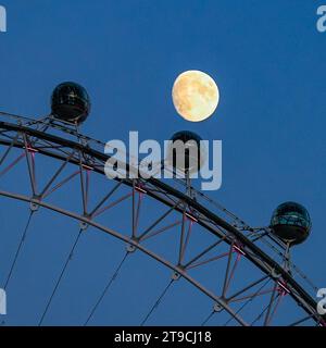 Londres, Royaume-Uni. 24 novembre 2023. La Lune semble danser au sommet des capsules de la grande roue du London Eye après une journée de temps croustillant et froid mais ensoleillé et un ciel bleu clair à Londres. Crédit : Imageplotter/Alamy Live News Banque D'Images