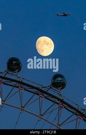 Londres, Royaume-Uni. 24 novembre 2023. La Lune semble danser au sommet des capsules de la grande roue du London Eye après une journée de temps croustillant et froid mais ensoleillé et un ciel bleu clair à Londres. Crédit : Imageplotter/Alamy Live News Banque D'Images