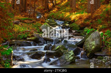 Mosaïque de montagne : la cascade d'automne traverse la Tapisserie de la nature Banque D'Images