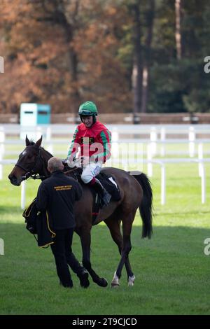 Ascot, Royaume-Uni. 24 novembre 2023. Horse Supreme Gift (n°4) monté par le jockey Charlie Deutsch (soies rouges et vertes) efface le dernier avant de remporter le Racing to School novices Limited handicap Steeple Chase à l'hippodrome d'Ascot lors du meeting du vendredi de novembre. Propriétaire Sir T Pilkington & R A Pilkington. Entraîneur Henry Daly, Ludlow. Éleveuse Imelda Harney. Commanditaire Humphrey Butler Ltd. Crédit : Maureen McLean/Alamy Live News Banque D'Images