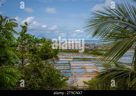 Vue sur le château d'Elmina au Ghana avec des arbres et l'océan Banque D'Images